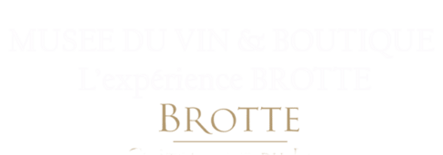 Musée du vin Brotte et  Boutique