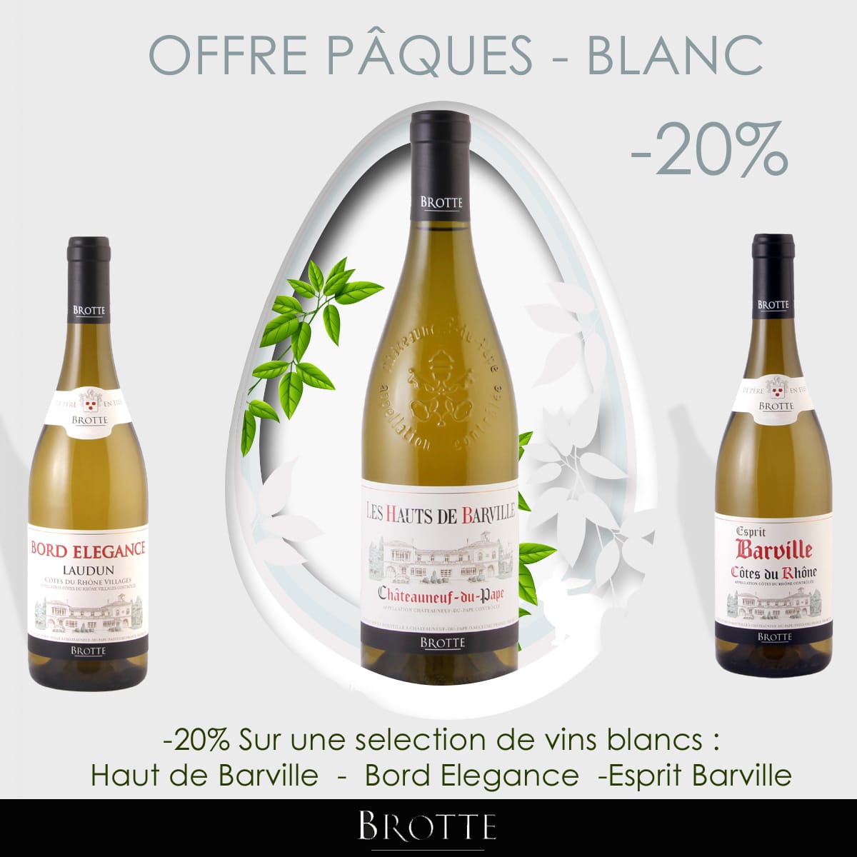 Musée du vin Brotte châteauneuf du pape - offre de Pâques 20% sur les vins blanc,